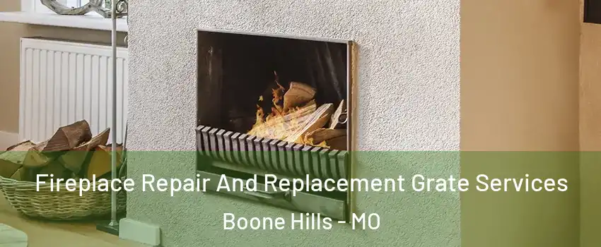 Fireplace Repair And Replacement Grate Services Boone Hills - MO