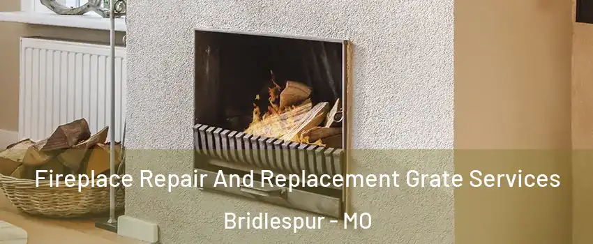 Fireplace Repair And Replacement Grate Services Bridlespur - MO