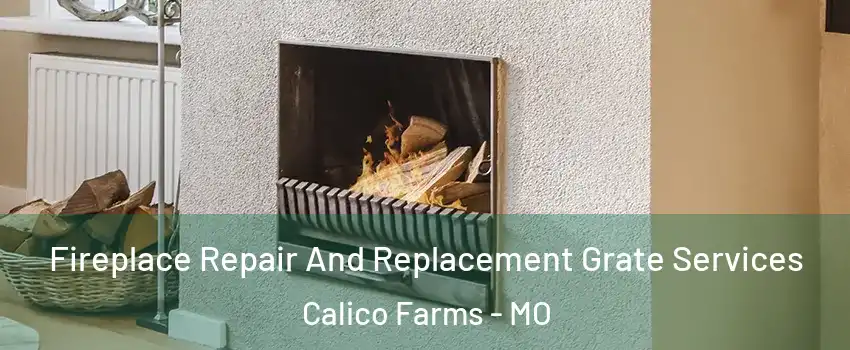 Fireplace Repair And Replacement Grate Services Calico Farms - MO