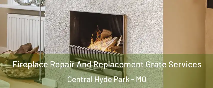 Fireplace Repair And Replacement Grate Services Central Hyde Park - MO