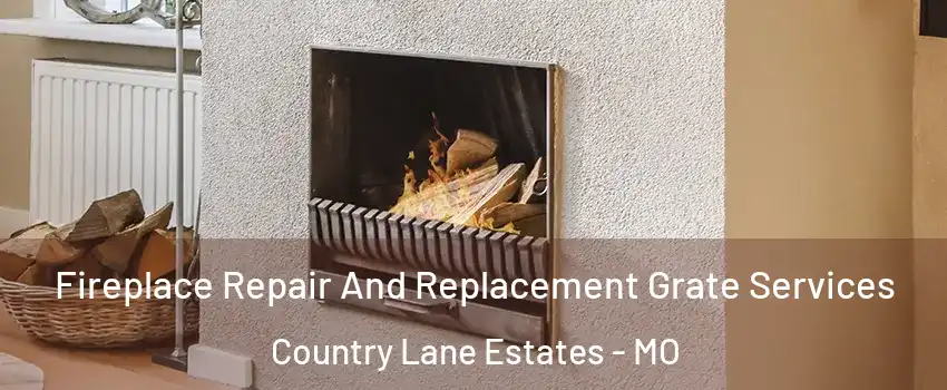 Fireplace Repair And Replacement Grate Services Country Lane Estates - MO