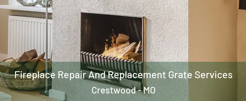 Fireplace Repair And Replacement Grate Services Crestwood - MO