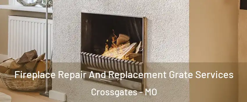 Fireplace Repair And Replacement Grate Services Crossgates - MO