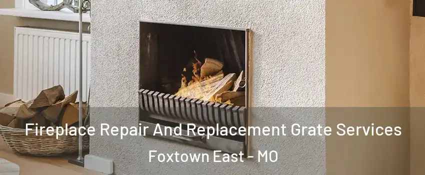 Fireplace Repair And Replacement Grate Services Foxtown East - MO