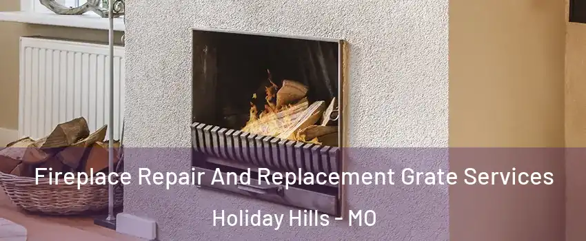 Fireplace Repair And Replacement Grate Services Holiday Hills - MO