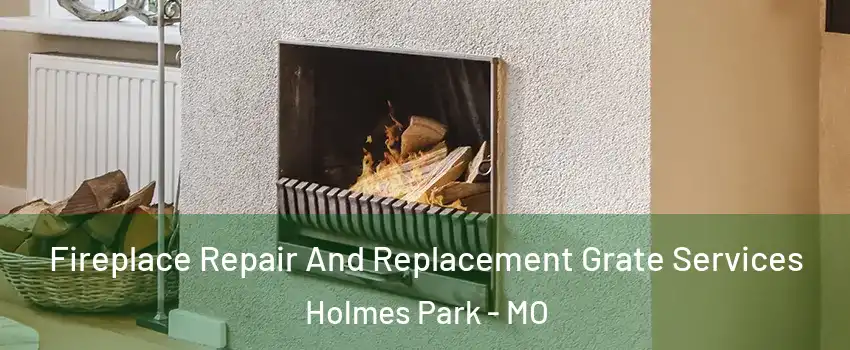 Fireplace Repair And Replacement Grate Services Holmes Park - MO