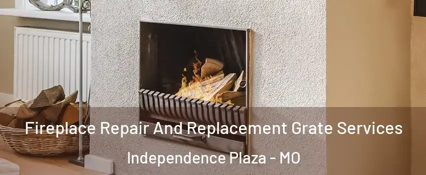 Fireplace Repair And Replacement Grate Services Independence Plaza - MO