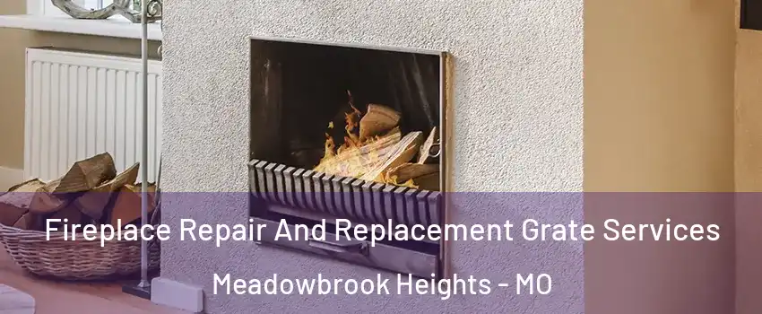 Fireplace Repair And Replacement Grate Services Meadowbrook Heights - MO