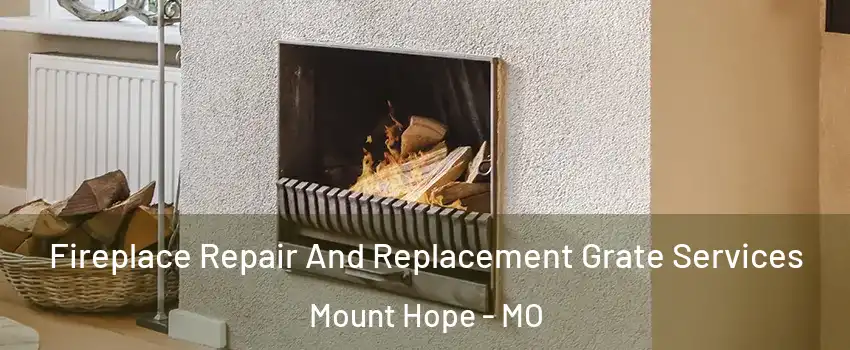 Fireplace Repair And Replacement Grate Services Mount Hope - MO