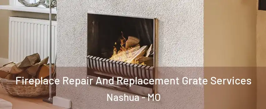 Fireplace Repair And Replacement Grate Services Nashua - MO