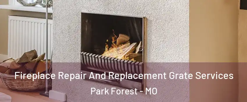 Fireplace Repair And Replacement Grate Services Park Forest - MO