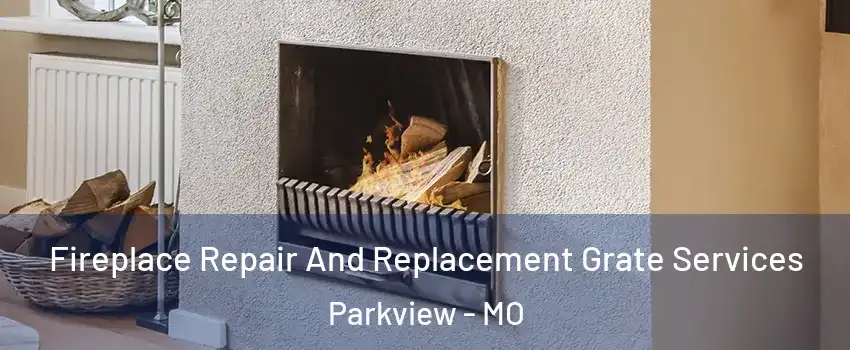 Fireplace Repair And Replacement Grate Services Parkview - MO