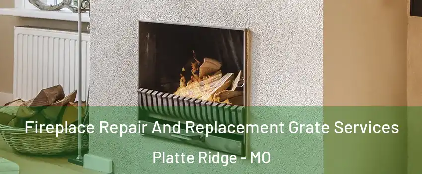 Fireplace Repair And Replacement Grate Services Platte Ridge - MO