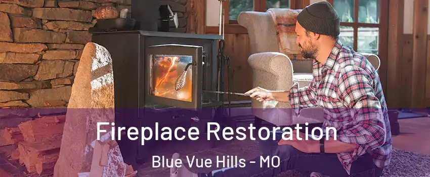 Fireplace Restoration Blue Vue Hills - MO