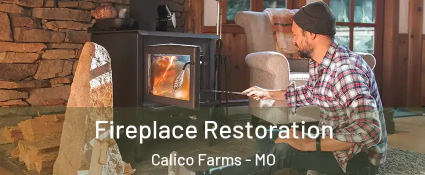 Fireplace Restoration Calico Farms - MO