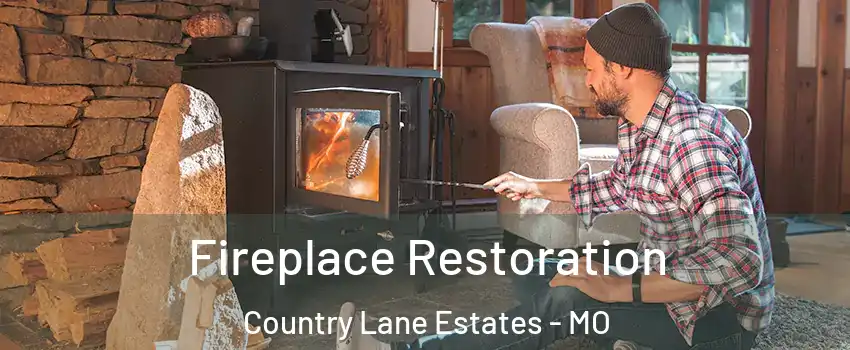 Fireplace Restoration Country Lane Estates - MO