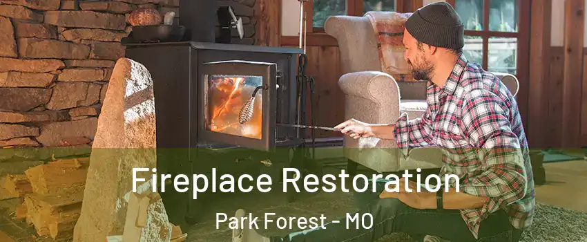 Fireplace Restoration Park Forest - MO