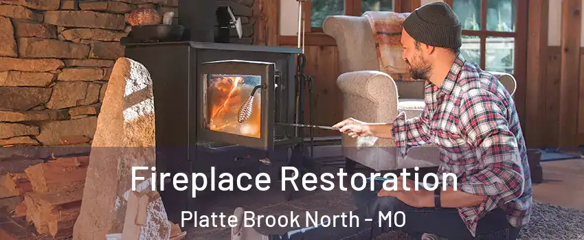 Fireplace Restoration Platte Brook North - MO