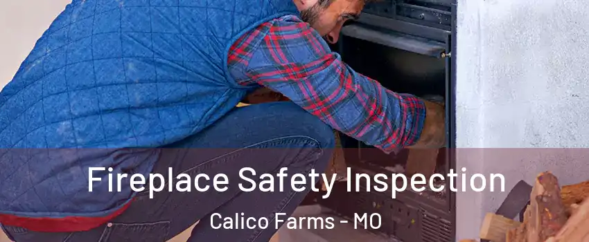 Fireplace Safety Inspection Calico Farms - MO