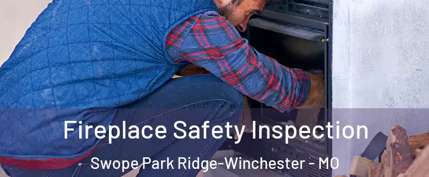 Fireplace Safety Inspection Swope Park Ridge-Winchester - MO