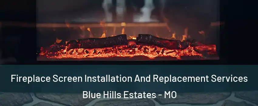 Fireplace Screen Installation And Replacement Services Blue Hills Estates - MO