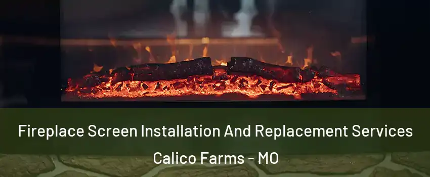 Fireplace Screen Installation And Replacement Services Calico Farms - MO