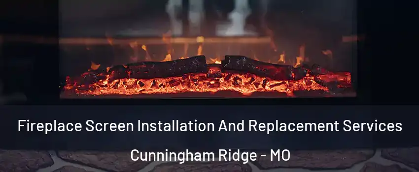 Fireplace Screen Installation And Replacement Services Cunningham Ridge - MO