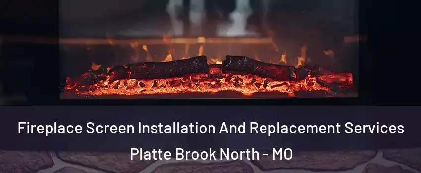 Fireplace Screen Installation And Replacement Services Platte Brook North - MO