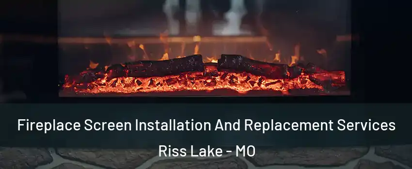 Fireplace Screen Installation And Replacement Services Riss Lake - MO