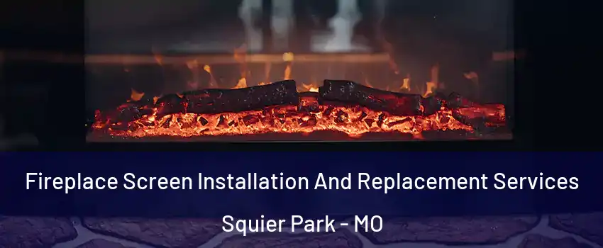 Fireplace Screen Installation And Replacement Services Squier Park - MO