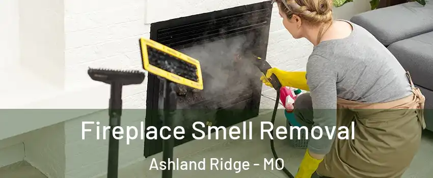 Fireplace Smell Removal Ashland Ridge - MO