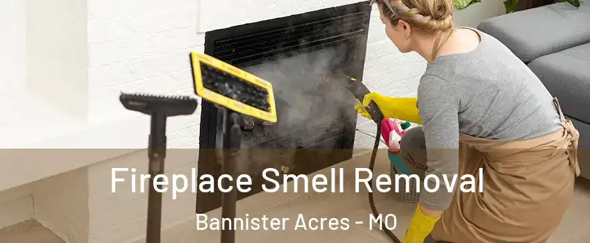 Fireplace Smell Removal Bannister Acres - MO