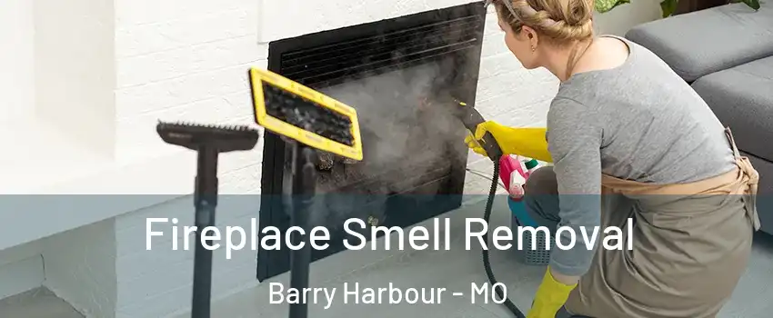 Fireplace Smell Removal Barry Harbour - MO