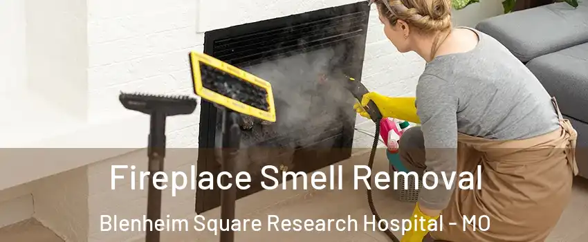 Fireplace Smell Removal Blenheim Square Research Hospital - MO