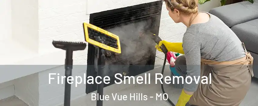 Fireplace Smell Removal Blue Vue Hills - MO