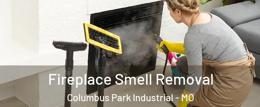 Fireplace Smell Removal Columbus Park Industrial - MO