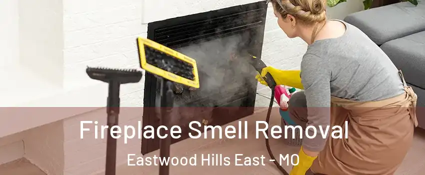 Fireplace Smell Removal Eastwood Hills East - MO