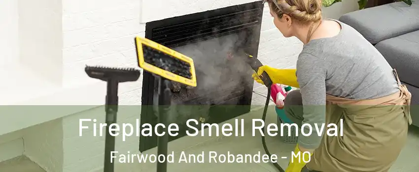 Fireplace Smell Removal Fairwood And Robandee - MO