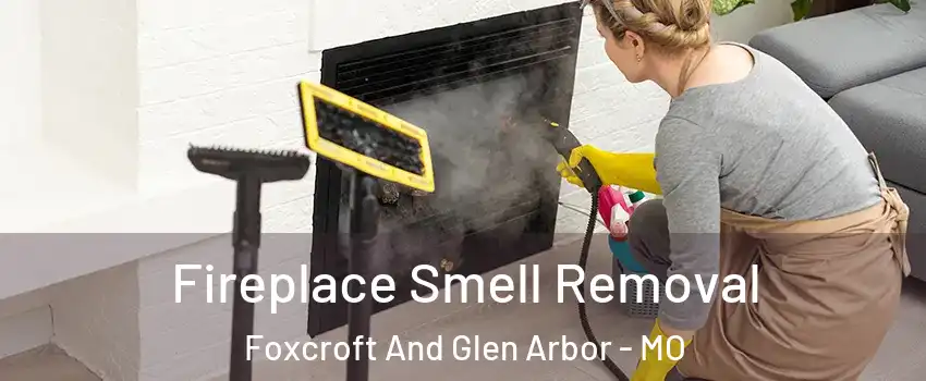 Fireplace Smell Removal Foxcroft And Glen Arbor - MO