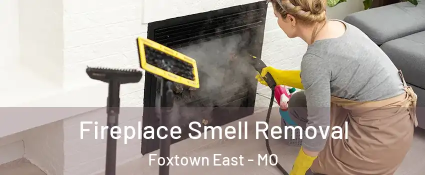 Fireplace Smell Removal Foxtown East - MO