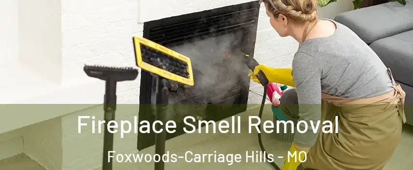 Fireplace Smell Removal Foxwoods-Carriage Hills - MO