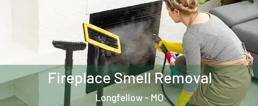 Fireplace Smell Removal Longfellow - MO