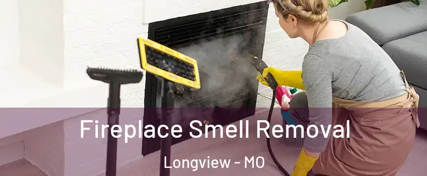 Fireplace Smell Removal Longview - MO