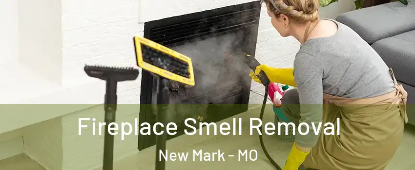 Fireplace Smell Removal New Mark - MO