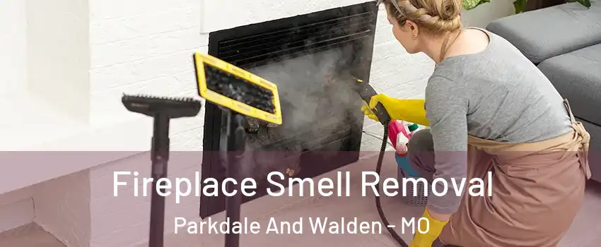 Fireplace Smell Removal Parkdale And Walden - MO