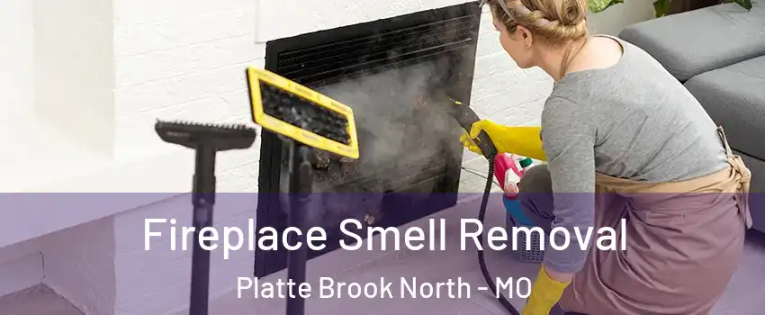 Fireplace Smell Removal Platte Brook North - MO