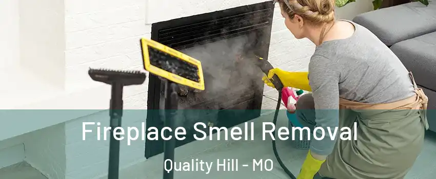 Fireplace Smell Removal Quality Hill - MO