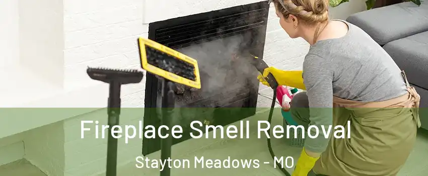 Fireplace Smell Removal Stayton Meadows - MO