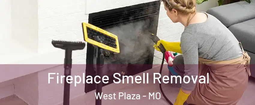 Fireplace Smell Removal West Plaza - MO