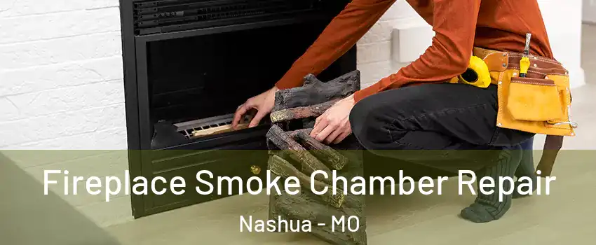 Fireplace Smoke Chamber Repair Nashua - MO